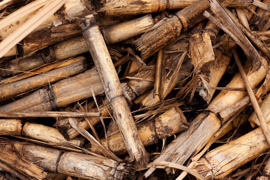 background, biomass, crop-70997.jpg